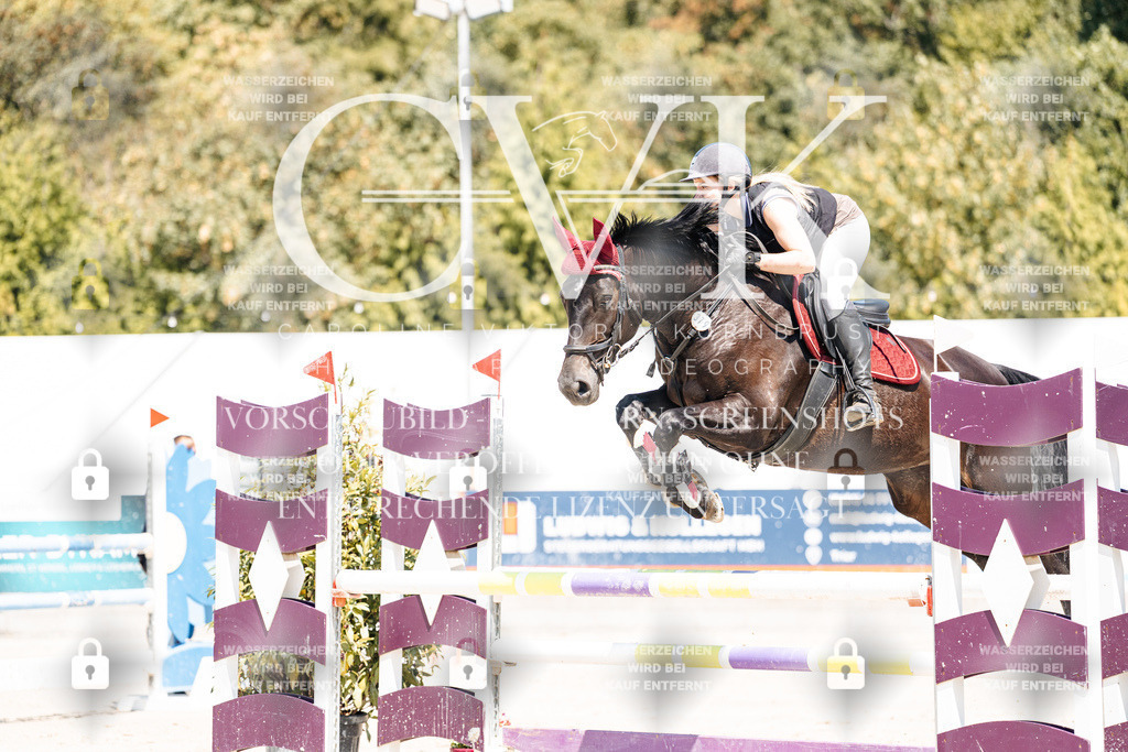 CK900623 | Turnierfotografie Pferdefotografie Trier Rheinland-Pfalz Pferdesport Reitsport Tierfotografie Sportfotografie Pferdevideo Pferdevideografie Equestrianvideography equestrianphotography  - Realisiert mit Pictrs.com