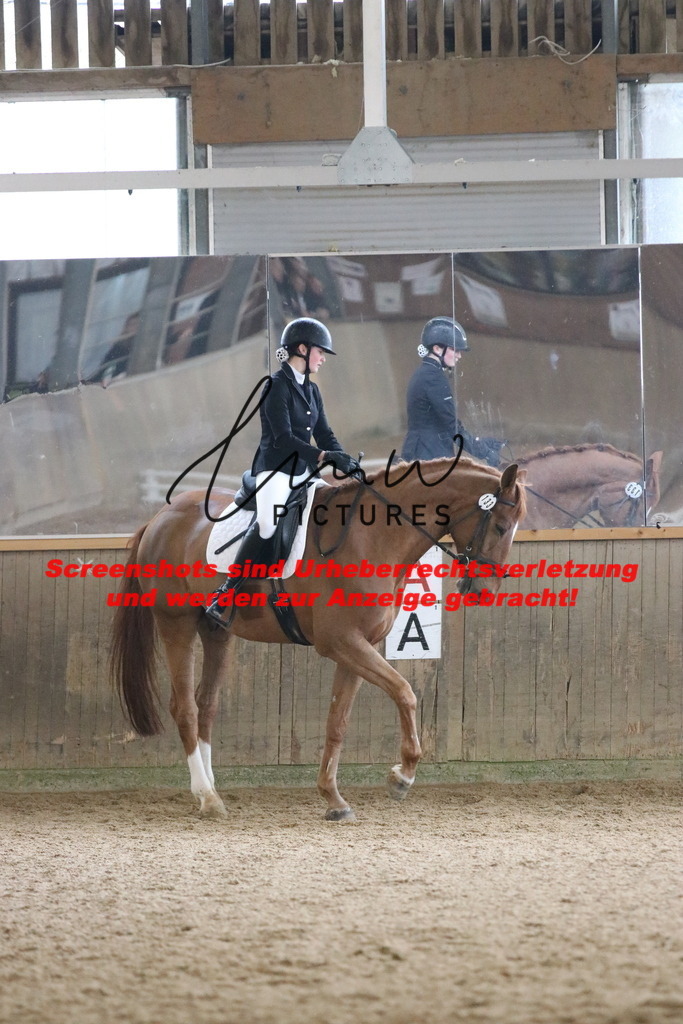 IMG_7806 | lmwpictures - Realisiert mit Pictrs.com