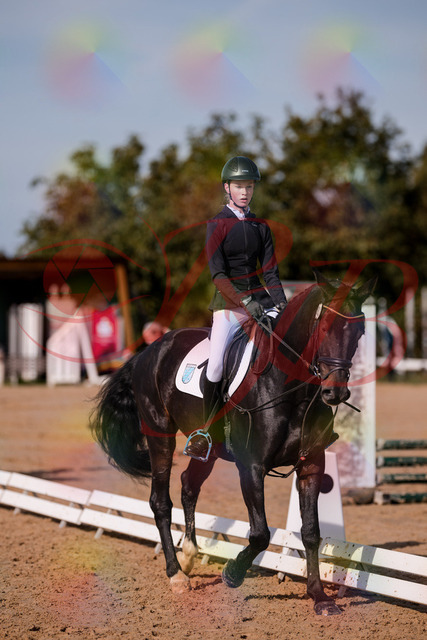 2026_10_03_Siefer-Hof_115507_Z81_95381680 | Professionelle Reitsport-, Turnier- und Eventfotografie von Robert Broda. Galerien mit ausgewählten und bearbeiteten Bildern direkt online ansehen und bestellen.