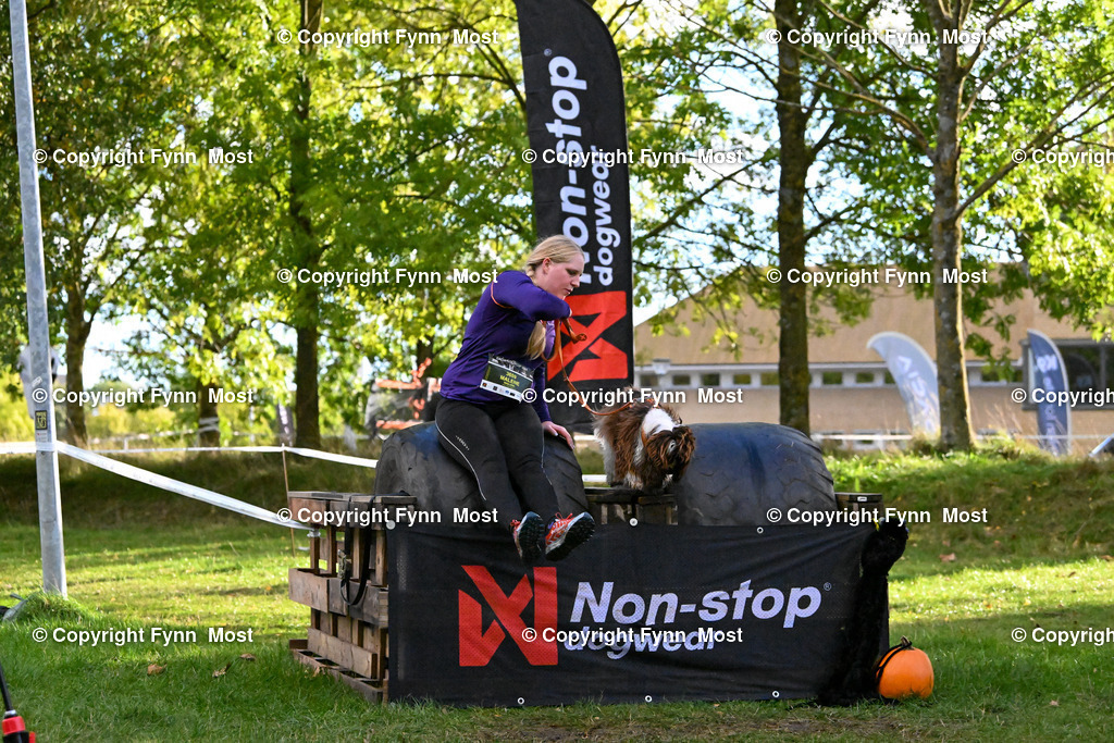 DSC_7115 | Hallo und herzlich Willkommen auf meiner Shop-Seite Fynn Most.

Ich wünsche Dir viel Spaß beim stöbern durch die Bilder, wenn Du Fragen hast oder Bilder vermisst, kannst du mir gerne eine Nachricht schreiben. - Realisiert mit Pictrs.com