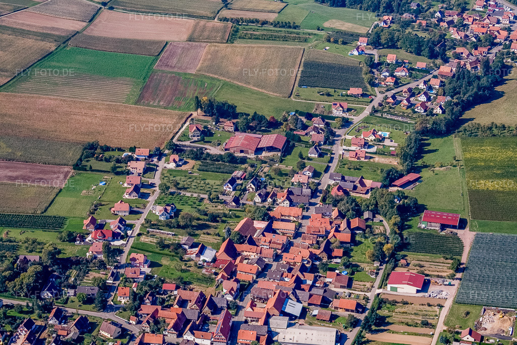 Luftbild: Rue du Maire Rupp von Osten in Steinseltz im Bundesland Bas-Rhin in Frankreich.Foto: IMG_13606.jpg vom 28.09.2008 durch Werner Riehm/FLY-FOTO.deAuflösung des Originals: 3270 x 2181 px