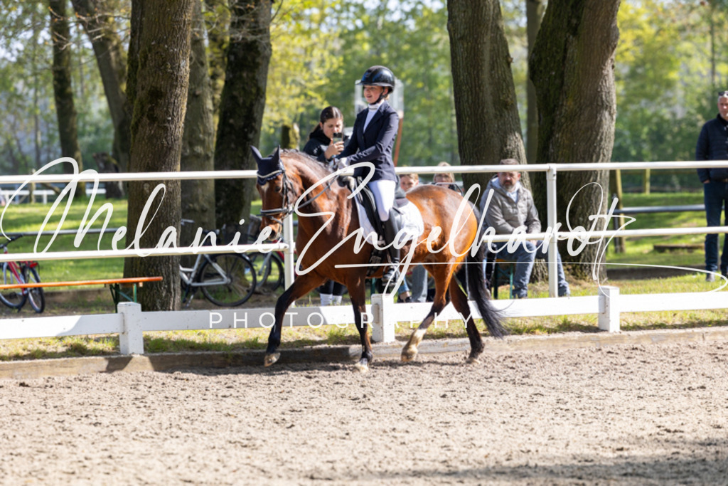 7I8A1606 | melanie-engelhardt-photography - Realisiert mit Pictrs.com