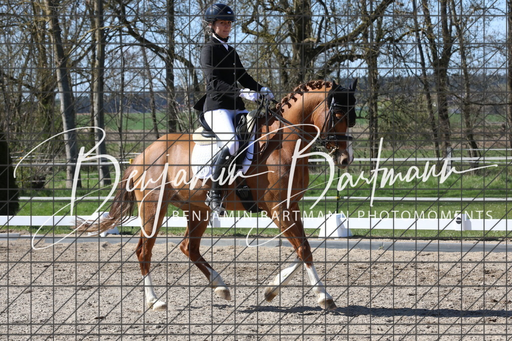 AZ2A4802 | Benjamin Bartmann Photomoments