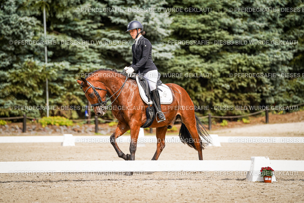 DSC05080 | Pferdegrafie