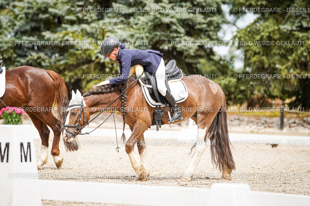 DSC04503 | Pferdegrafie