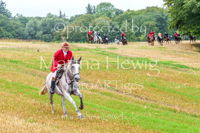 Jagd Kletkamp 26-02862_MarinaHewig | Fotografie, FotoArt, PferdesportArt, Pferdesportfotografie, Landschaftsfotografie, Reisefotografie, Reise, Pferde - Realisiert mit Pictrs.com