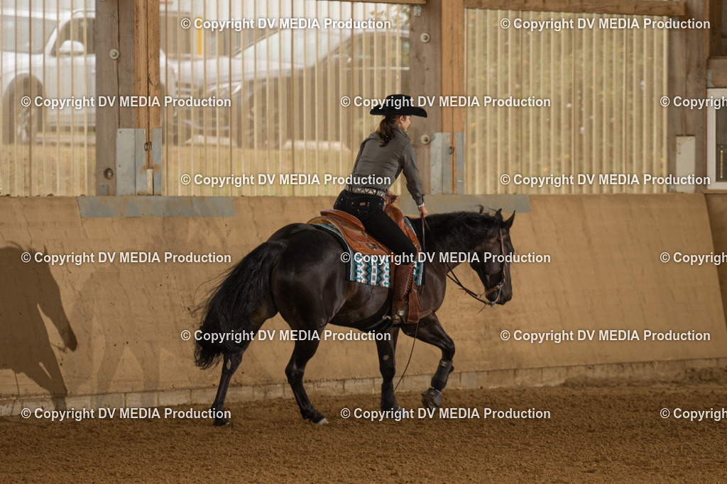 LAU00747 | dv-media-shop - Realisiert mit Pictrs.com