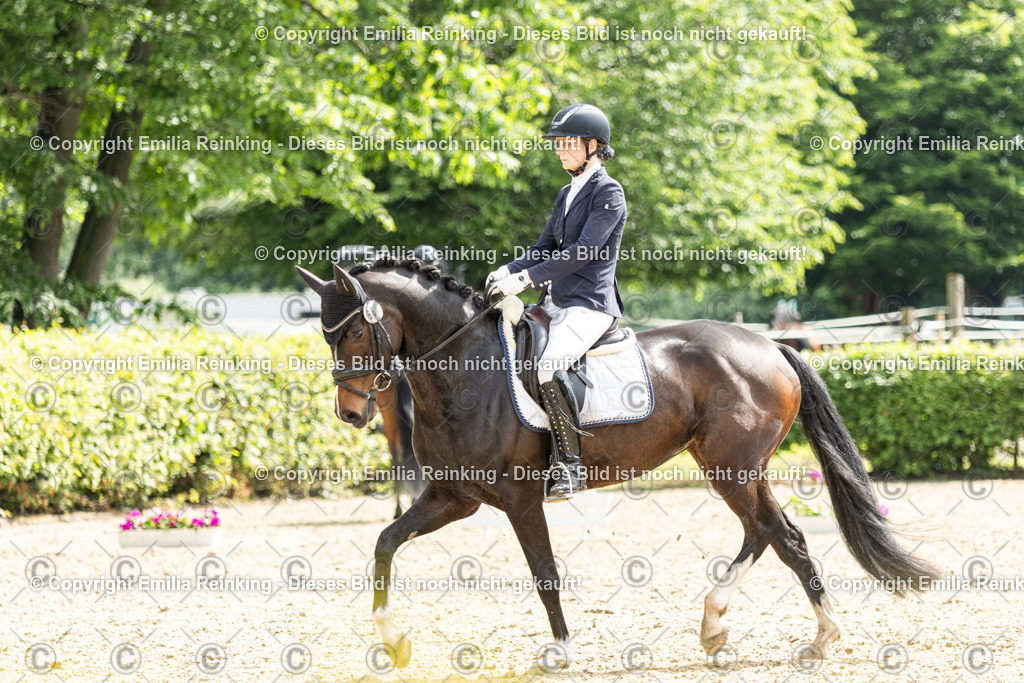 CL5A6015 | Emilia Reinking Fotografie - Realisiert mit Pictrs.com