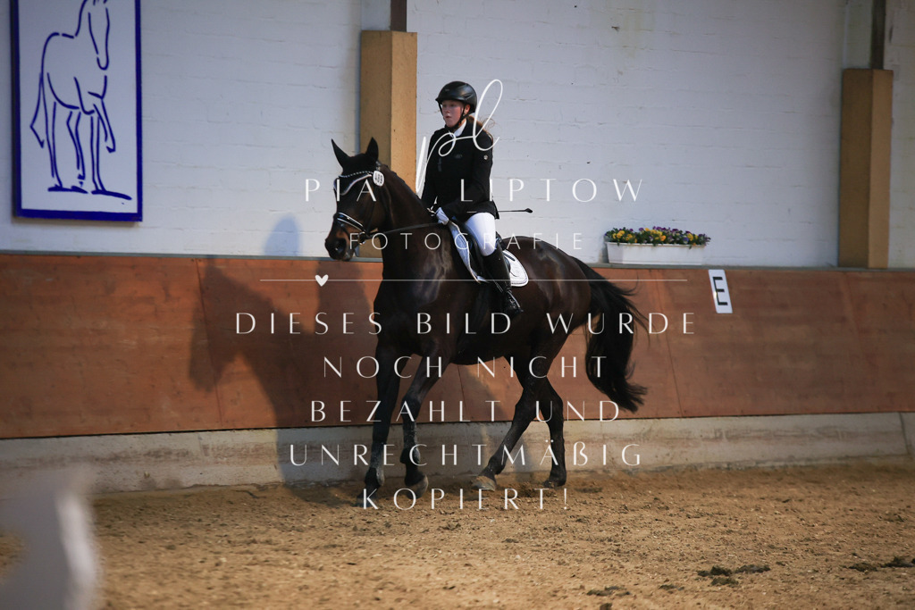 IMGT1680 - Kopie | pl-fotografie