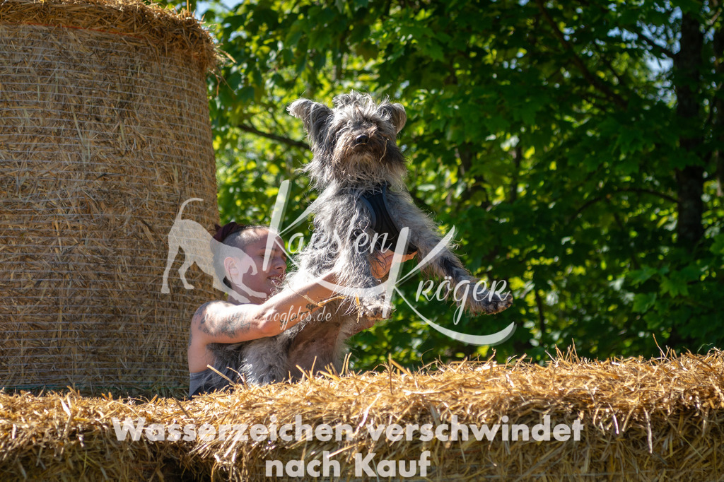 1021STR_5375 | kk-dogfotos