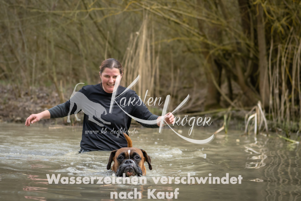 1557_ZZ94832 | kk-dogfotos