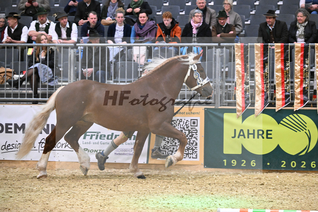 Kat-Nr. 8 Veny I v. Verry_Hollinger u Ober_1260151 | hf-fotografie - Realisiert mit Pictrs.com