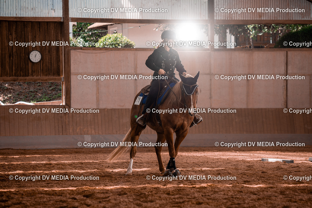 NE100547 | dv-media-shop - Realisiert mit Pictrs.com