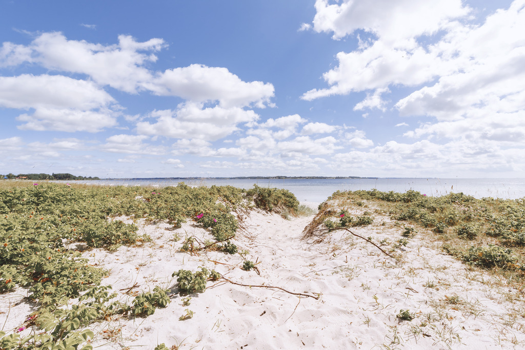 XXL Wandbild: Sandweg ans Meer als Leinwandbild | ommerliche Freiheit und unberührte Natur im Querformat. Dieses XXL Wandbild fängt den perfekten Moment eines Strandspaziergangs ein: Ein heller Sandpfad windet sich durch eine sanfte Dünenlandschaft, die von sattgrünen Heckenrosen und Gräsern gesäumt wird. Der Blick wird über den weißen Sand direkt zum glitzernden, blauen Meer geleitet, das unter einem weiten Himmel mit lockeren Schönwetterwolken liegt. Holen Sie sich dieses Gefühl von Weite und sommerlicher Leichtigkeit nach Hause, um in Ihren Wohn- oder Schlafräumen eine helle und einladende Atmosphäre zu schaffen. Auch in Eingangsbereichen oder Wartezimmern wirkt dieser Weg als perspektivischer Blickfang besonders beruhigend. Die natürliche Komposition und die klaren Farben des Sommertages verleihen jedem Raum eine positive Ausstrahlung und eine spürbare Tiefe.