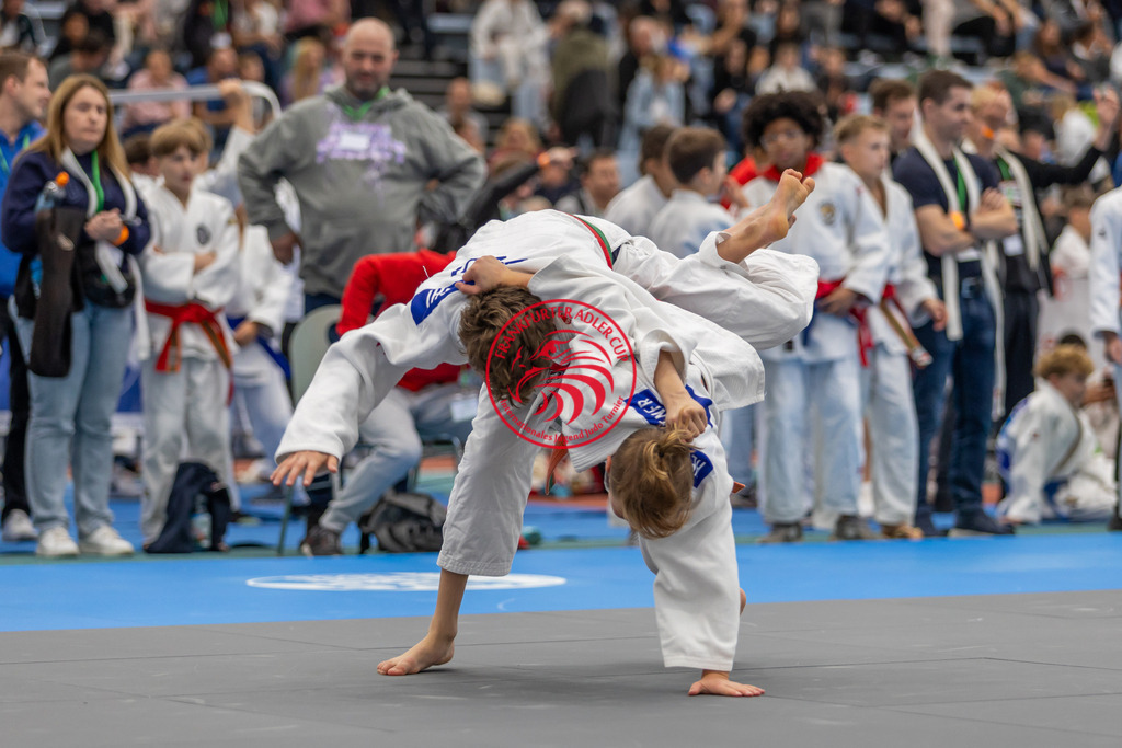 Internationaler Adler Cup 2024 | Foto vom Internationalen Adler Cup Judo Turnier im Sport- und Freizeitzentrum Kalbach im Oktober 2024 - Realisiert mit Pictrs.com