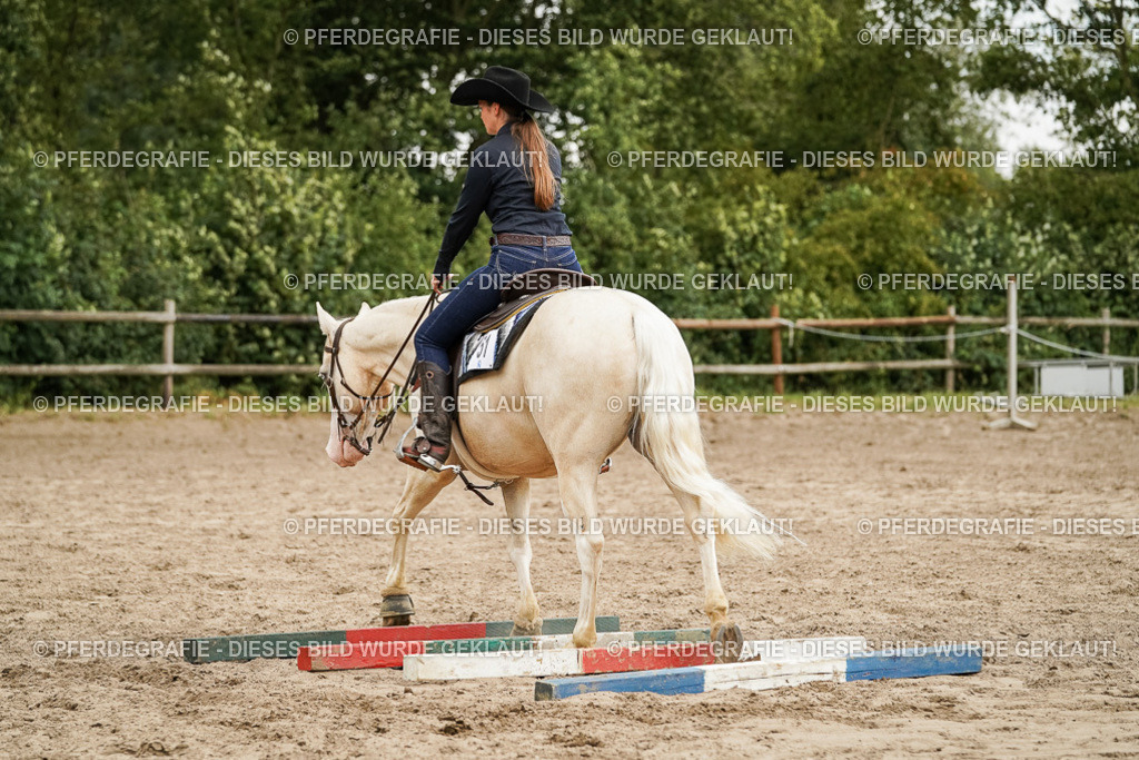 DSC09004 | Pferdegrafie