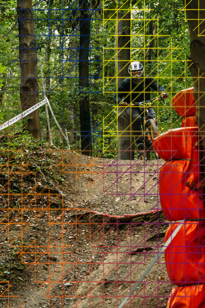 PAE-0554 | Einzigartige Fotokunst für dein Zuhause: Entdecke hochwertige Wandbilder, edle Prints und emotionale Motive von Wildlife, Natur und Landschaften - Realisiert mit Pictrs.com