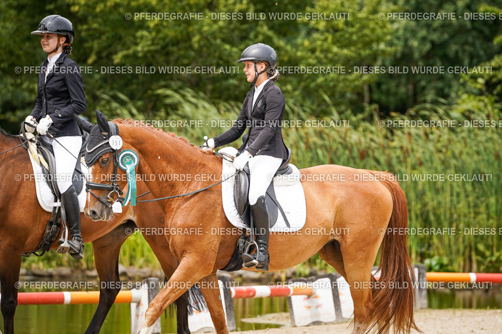 DSC04675 | Pferdegrafie