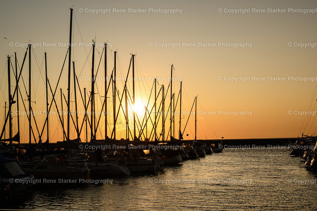 NZ6_1466 | Hochzeiten, Familien, Paare, Portraits, Kinder, Shooting, Bad-Neuenahr, Ahrweiler, Bonn, Meckenheim, Fotograf, Grafschaft - Realisiert mit Pictrs.com