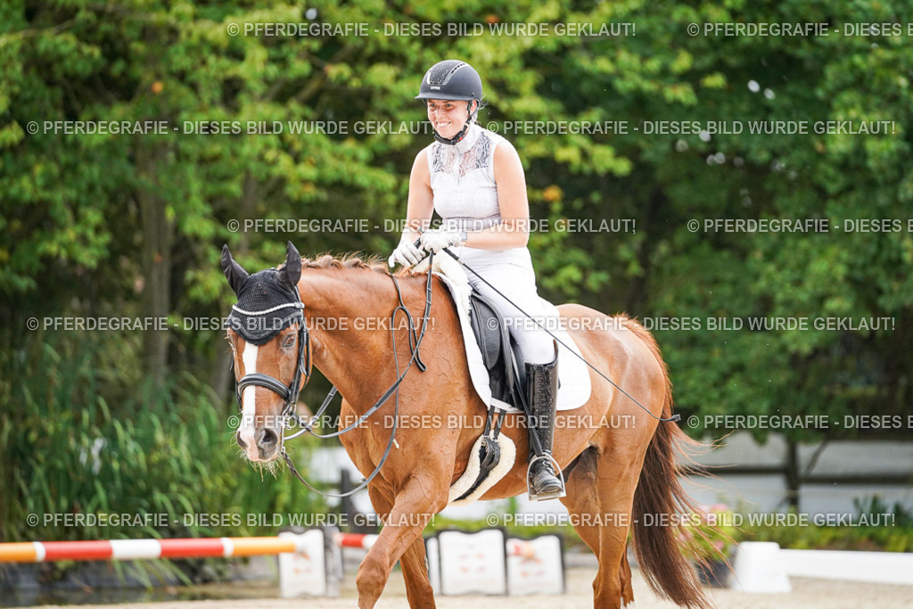 DSC08666 | Pferdegrafie