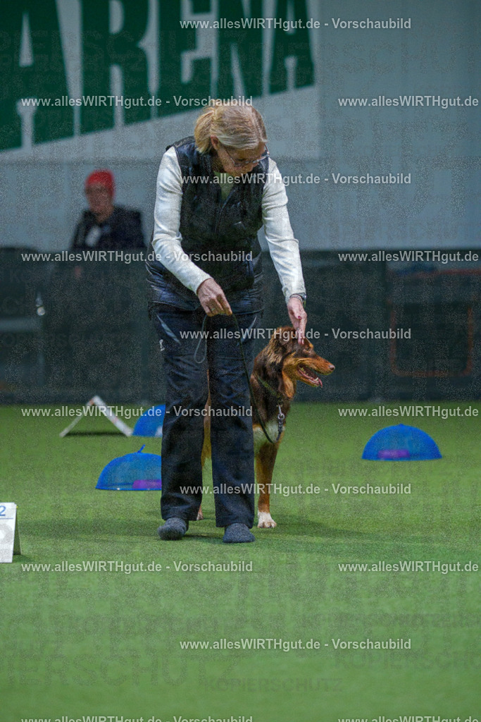 7R501319 | Professionelle Tierfotografie in Mönchengladbach von Daniel Wirth (allesWIRTHgut). Liebevolle & natürliche Bilder von Hunden & Katzen für unvergessliche Erinnerungen.