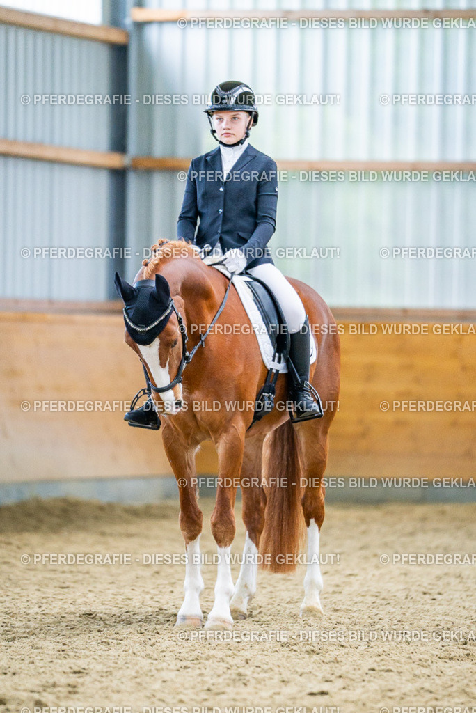 DSC04793 | Pferdegrafie