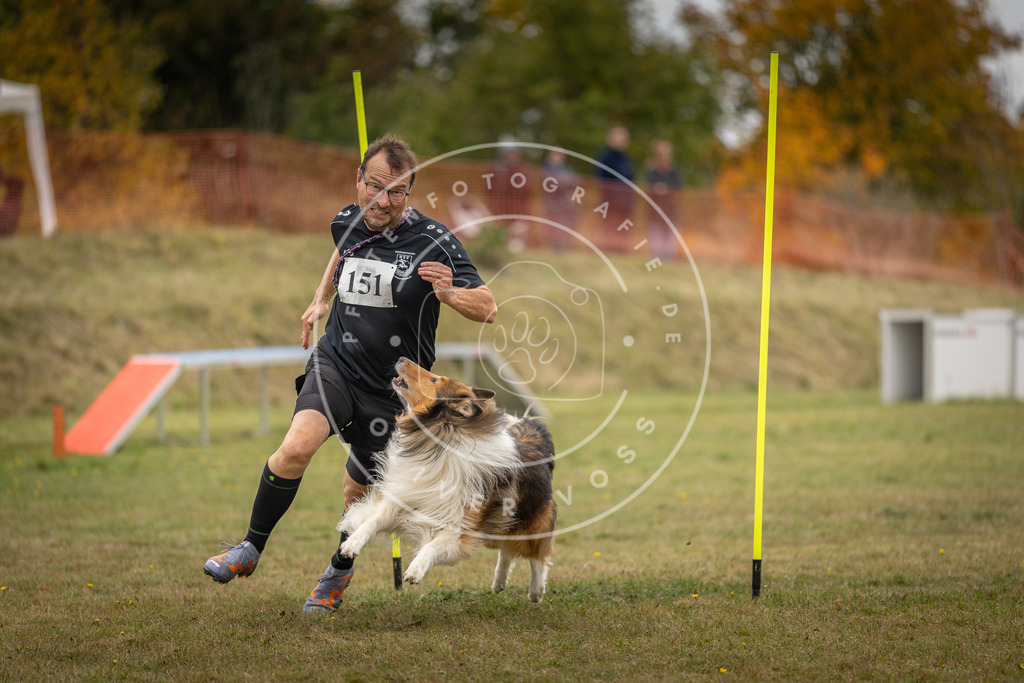 Pfotenfotografie_DV3A6403 | Hundefotografie, Tierfotograf, Pfotenfotografie, Fotoshooting Hund, Hunde Portrait, Hundesport, Hundeportraits, Heideshooting, Hunde, Sportfotograf, Hundefotograf, Turnierhundsport, THS,  - Realisiert mit Pictrs.com