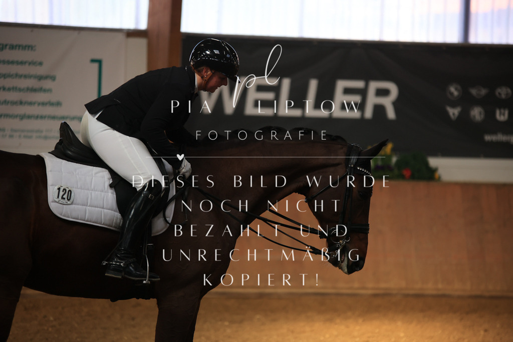 IMGT1407 | pl-fotografie