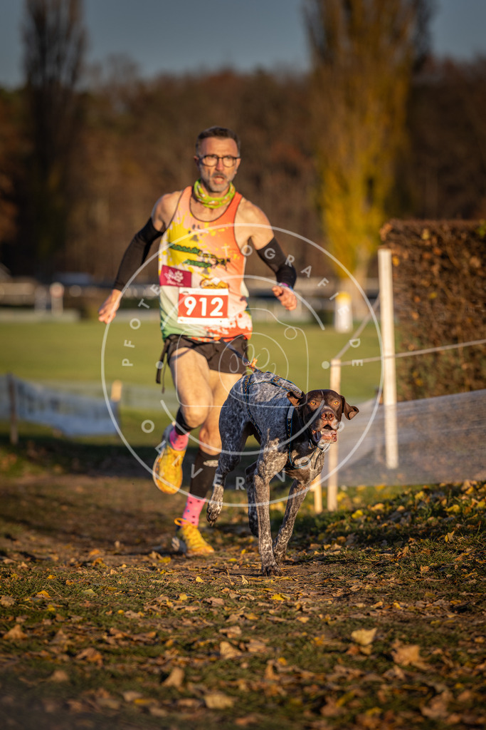 CaniXpix_DV3A4794 | Hundefotografie, Tierfotograf, Pfotenfotografie, Fotoshooting Hund, Hunde Portrait, Hundesport, Hundeportraits, Heideshooting, Hunde, Sportfotograf, Hundefotograf, Turnierhundsport, THS,  - Realisiert mit Pictrs.com