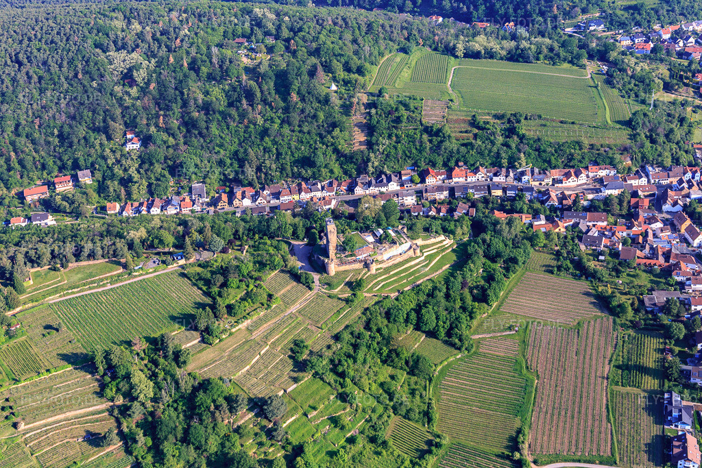Luftbild: Wachtenburg (Ruine Burg Wachenheim) in Wachenheim an der Weinstraße im Bundesland Rheinland-Pfalz in Deutschland. Foto: IMG_114197.jpg vom 26.05.2019 durch Werner Riehm/FLY-FOTO.deWachtenburg.de - Förderkreis zur Erhaltung der Ruine Wachtenburg e.V