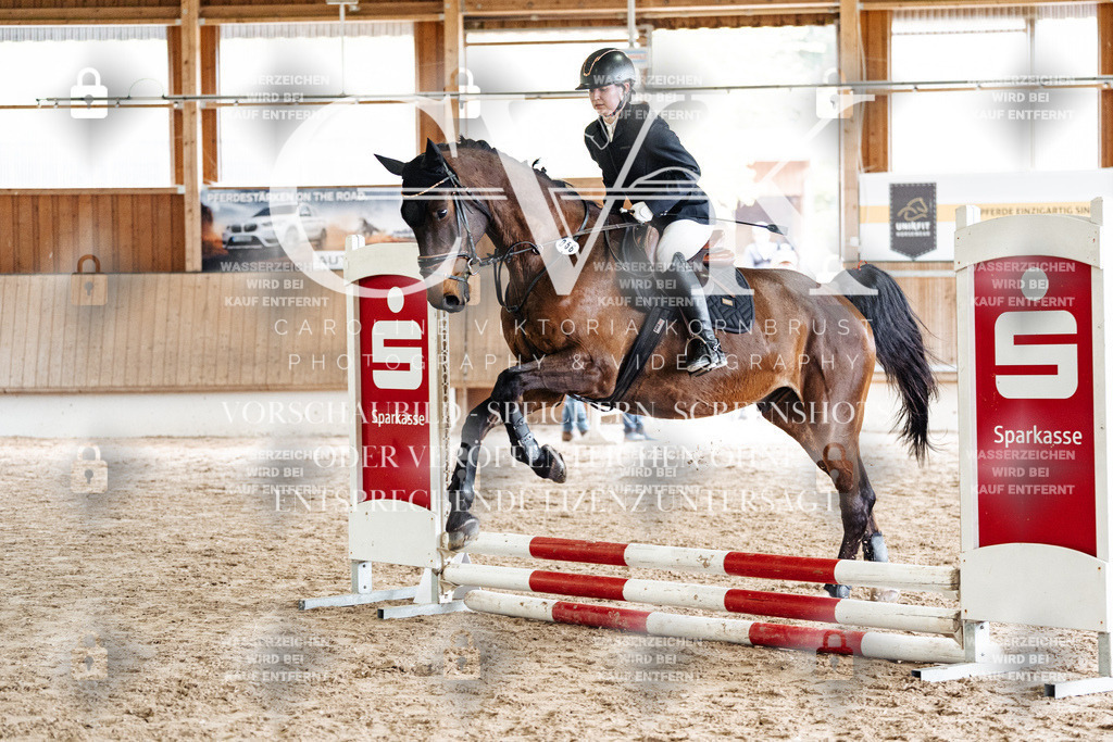 CK902631 | Turnierfotografie Pferdefotografie Trier Rheinland-Pfalz Pferdesport Reitsport Tierfotografie Sportfotografie Pferdevideo Pferdevideografie Equestrianvideography equestrianphotography  - Realisiert mit Pictrs.com