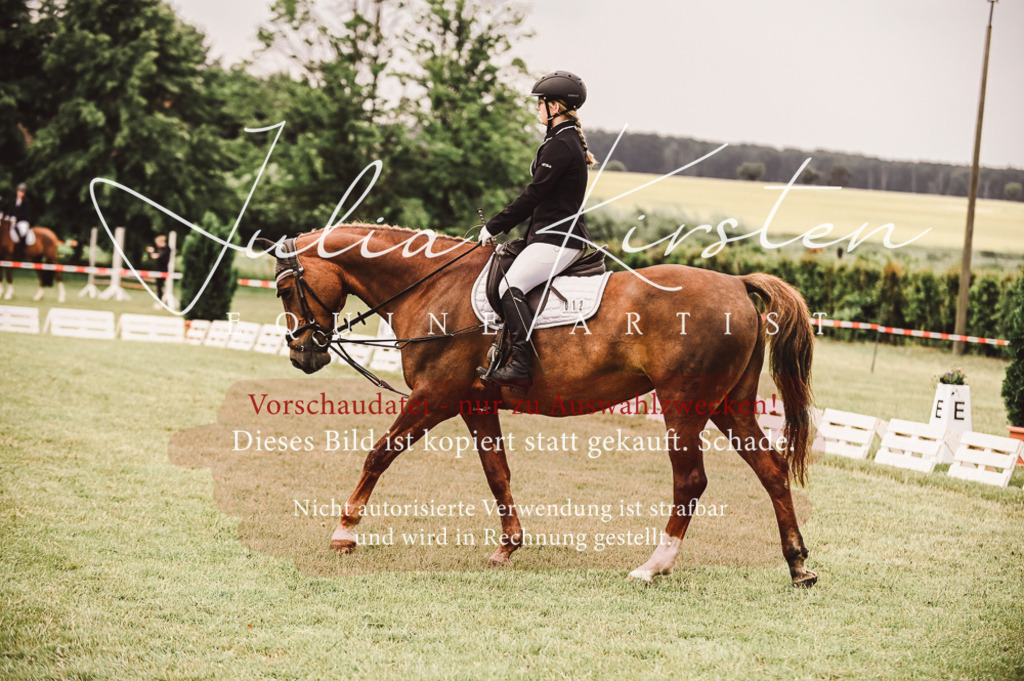 DSC_4840 | Pferde- und Turnierfotografie in Westsachsen. Pferdeportraits, Auftragszeichnungen und intuitive Kunst.