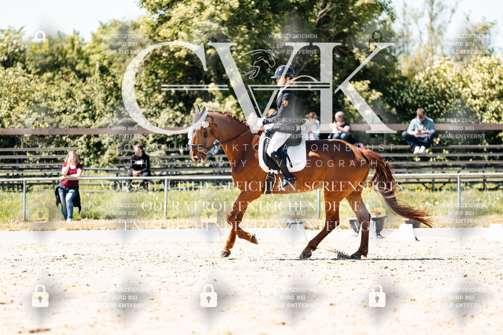 CK905797 | Turnierfotografie Pferdefotografie Trier Rheinland-Pfalz Pferdesport Reitsport Tierfotografie Sportfotografie Pferdevideo Pferdevideografie Equestrianvideography equestrianphotography  - Realisiert mit Pictrs.com