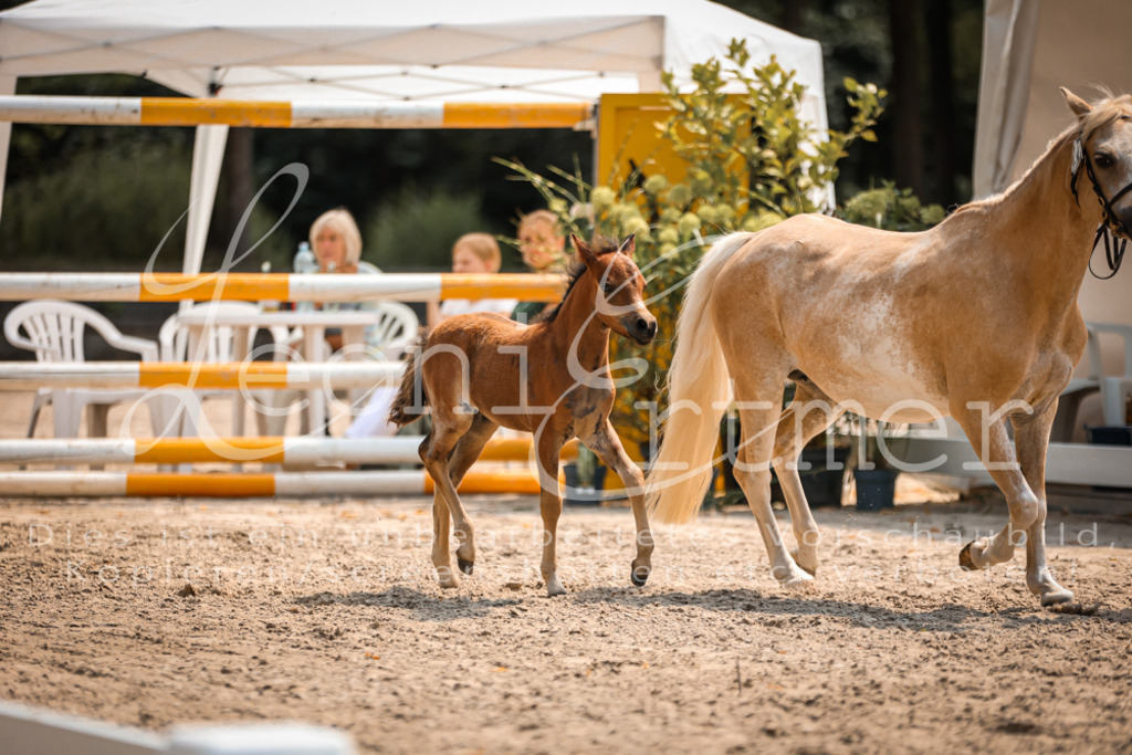 04.DoWP00071 | Leoni Ertmer Photography - Realisiert mit Pictrs.com