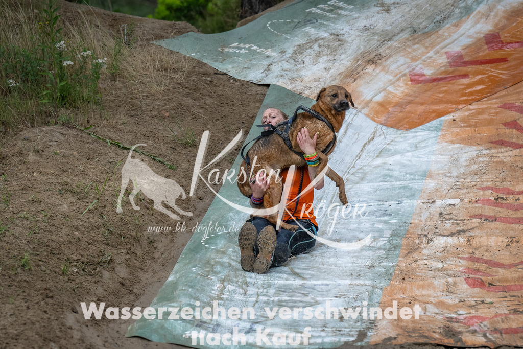 1622_ZZ91247-Bearbeitet | kk-dogfotos