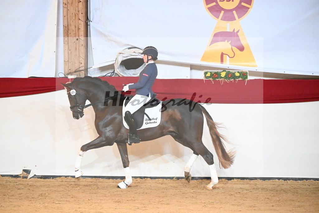 Bastiano_2241712 | hf-fotografie - Realisiert mit Pictrs.com