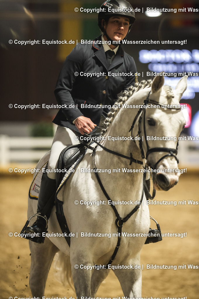 20240302_Hengstvorstellung_Marbach_TOMsPiC_1401 | equistock