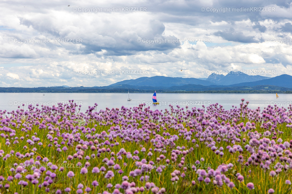 _J3A5231 | medienkrizzler - Realisiert mit Pictrs.com