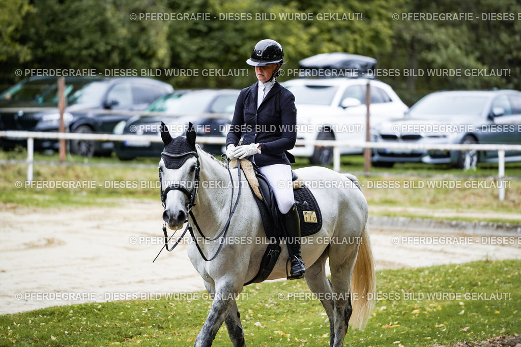 DSC08661 | Pferdegrafie