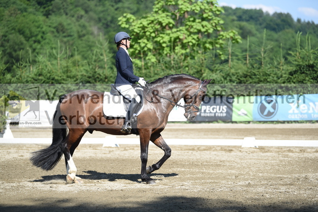DSC_7760 | equestrian-live-com