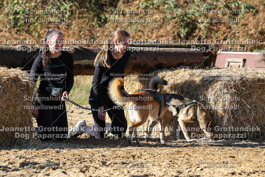 Dog Paparazzi - Strongdog 10-25-2379 | Dog Paparazzi Jeanette Grottendiek Fotografie & Videografie - Realisiert mit Pictrs.com