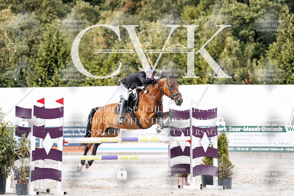 CK903923 | Turnierfotografie Pferdefotografie Trier Rheinland-Pfalz Pferdesport Reitsport Tierfotografie Sportfotografie Pferdevideo Pferdevideografie Equestrianvideography equestrianphotography  - Realisiert mit Pictrs.com