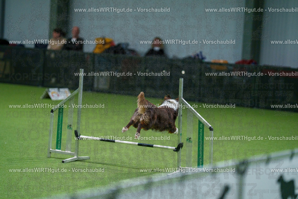 7R505055 | Professionelle Tierfotografie in Mönchengladbach von Daniel Wirth (allesWIRTHgut). Liebevolle & natürliche Bilder von Hunden & Katzen für unvergessliche Erinnerungen.