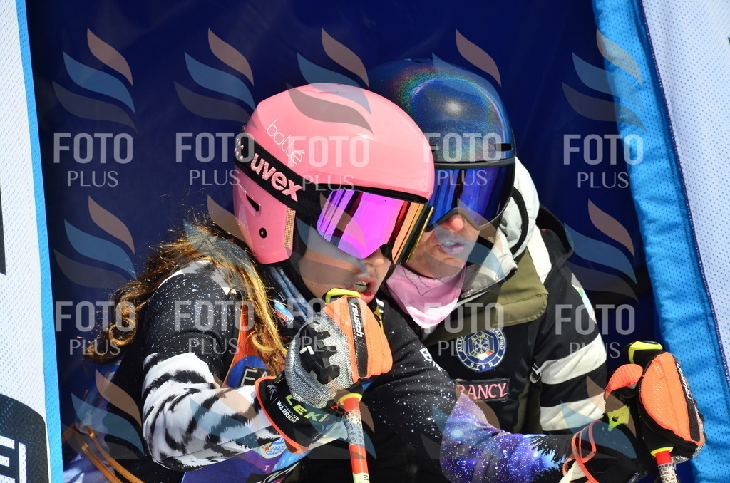 _ELE0899 | holidayphoto