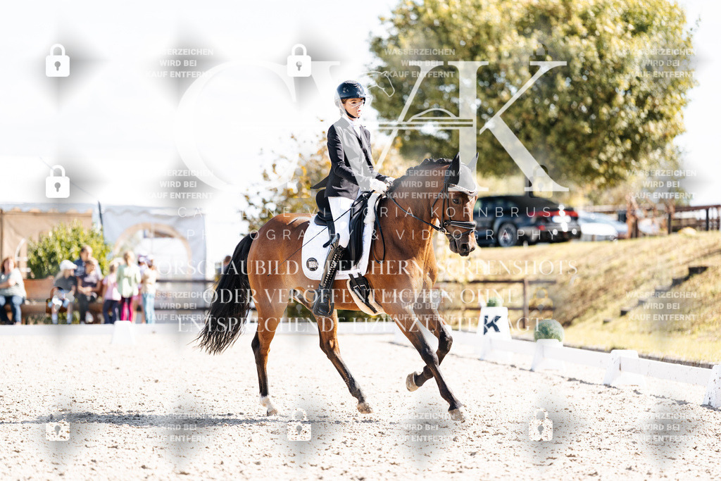 CK902725 | Turnierfotografie Pferdefotografie Trier Rheinland-Pfalz Pferdesport Reitsport Tierfotografie Sportfotografie Pferdevideo Pferdevideografie Equestrianvideography equestrianphotography  - Realisiert mit Pictrs.com