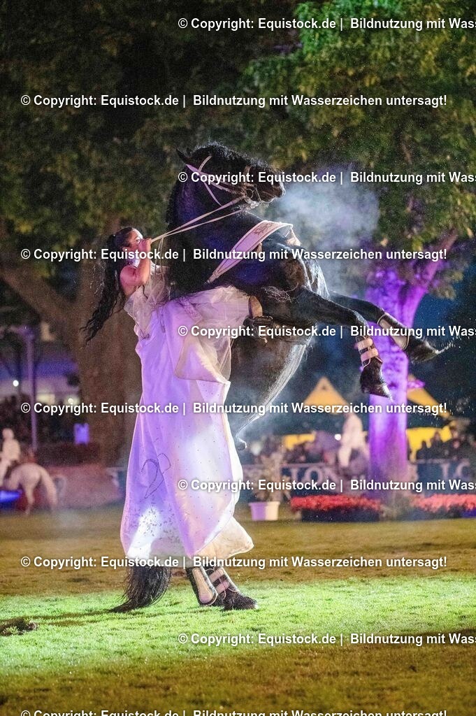 20250606_Lange-Pferdenacht_1464 | Foto: Thomas Hartig