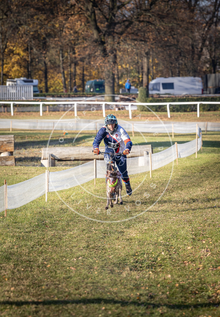 CaniXpix_DV3A1942 | Hundefotografie, Tierfotograf, Pfotenfotografie, Fotoshooting Hund, Hunde Portrait, Hundesport, Hundeportraits, Heideshooting, Hunde, Sportfotograf, Hundefotograf, Turnierhundsport, THS,  - Realisiert mit Pictrs.com