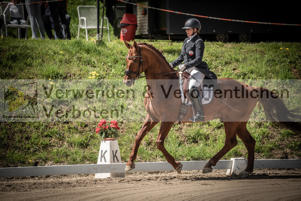 DSC_1559 | equestrian-live-com