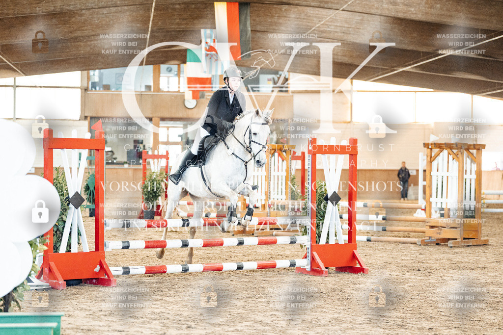 CK903999 | Turnierfotografie Pferdefotografie Trier Rheinland-Pfalz Pferdesport Reitsport Tierfotografie Sportfotografie Pferdevideo Pferdevideografie Equestrianvideography equestrianphotography  - Realized with Pictrs.com