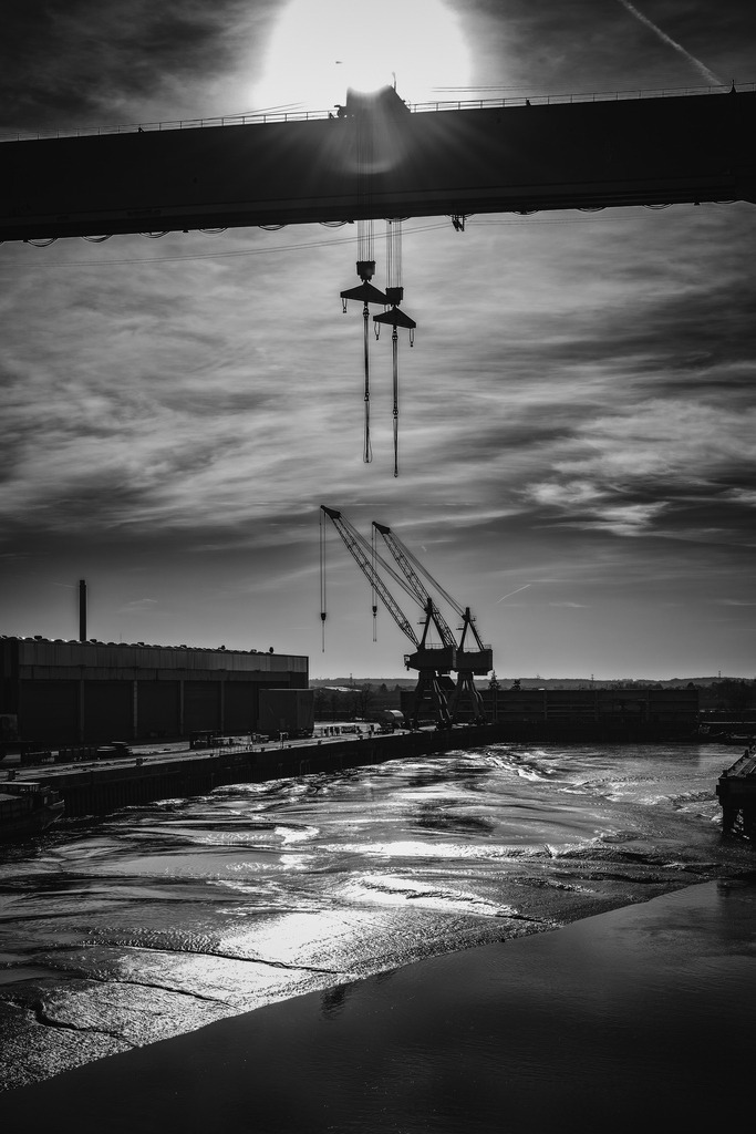 2024_01_28_CRANZ_MCP5919 sw_01 | Hochwertig gedruckte Fotografien für die Wand, als Kalender und zum Verschenken. Hamburg & Norddeutschland und überall wo ich mit der Kamera unterwegs war.